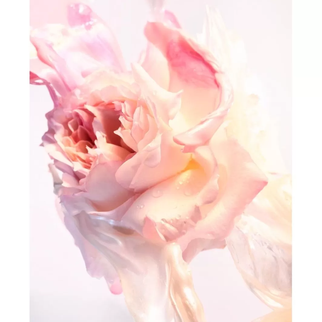 Rose Goldea Rose Goldea Blossom Delight Eau De Toilette Spray>Bulgari Store