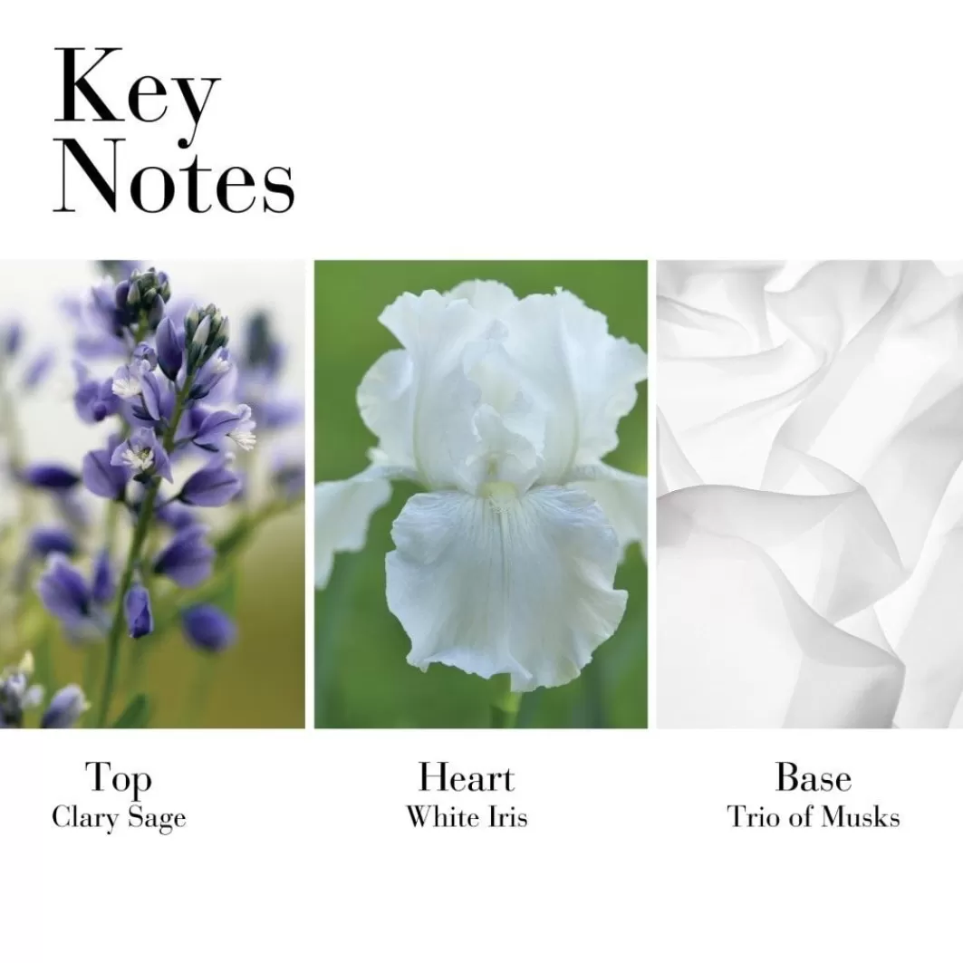 White Tea White Tea Eau De Toilette Spray>Elizabeth Arden Fashion