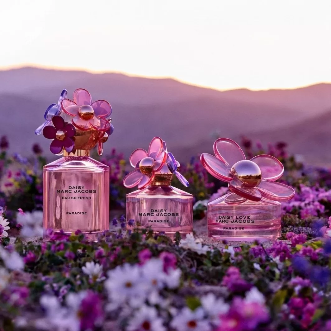 Daisy Love Daisy Paradise Love Paradise Limited Edition Eau De Toilette Spray>MARC JACOBS Cheap