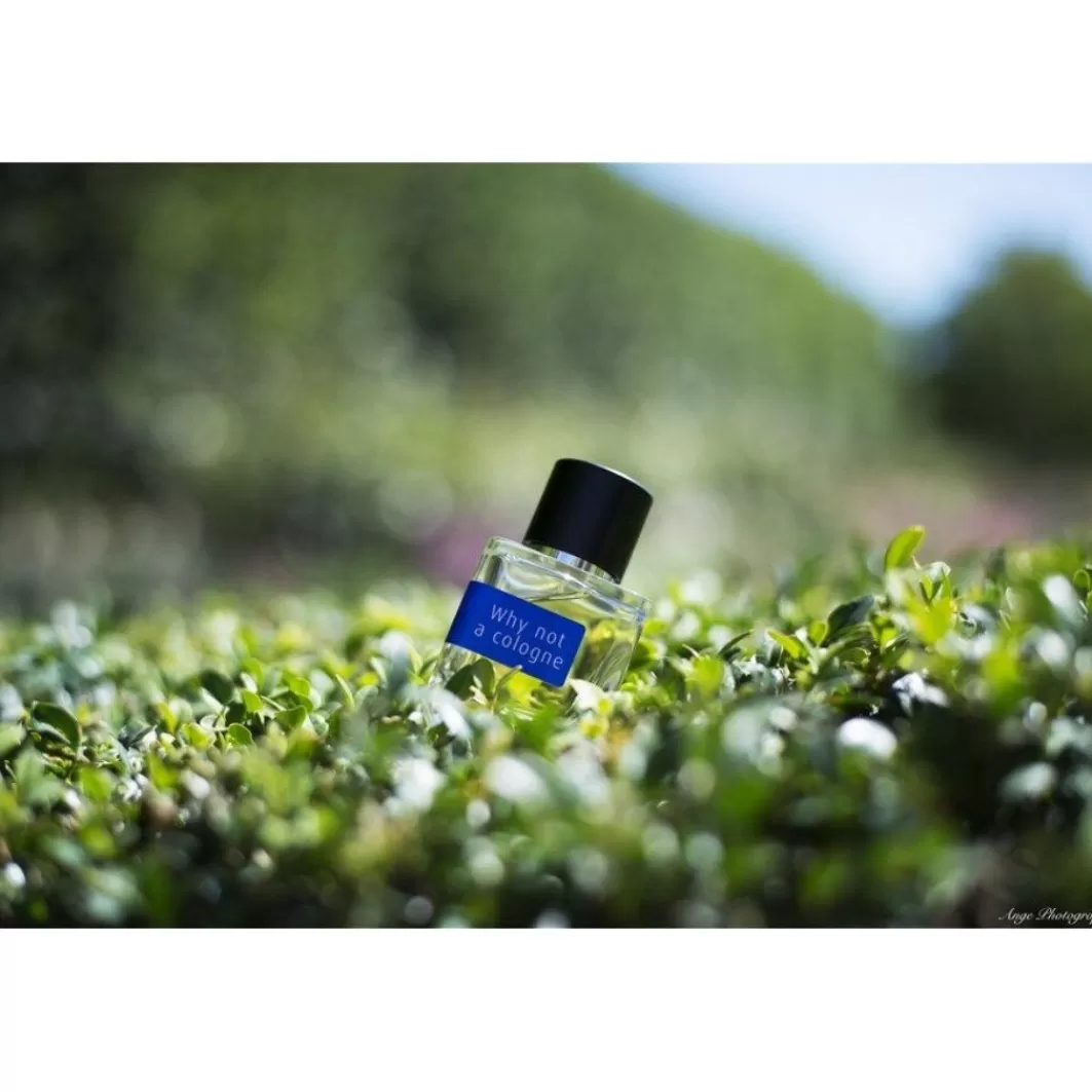 Freedom Collection Why Not A Cologne Eau De Parfum Spray>Mark Buxton Perfumes Cheap