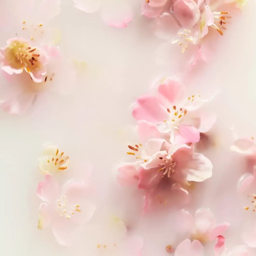 The Ritual Of Sakura The Ritual Of Sakura Hair & Body Mist>Rituals Fashion