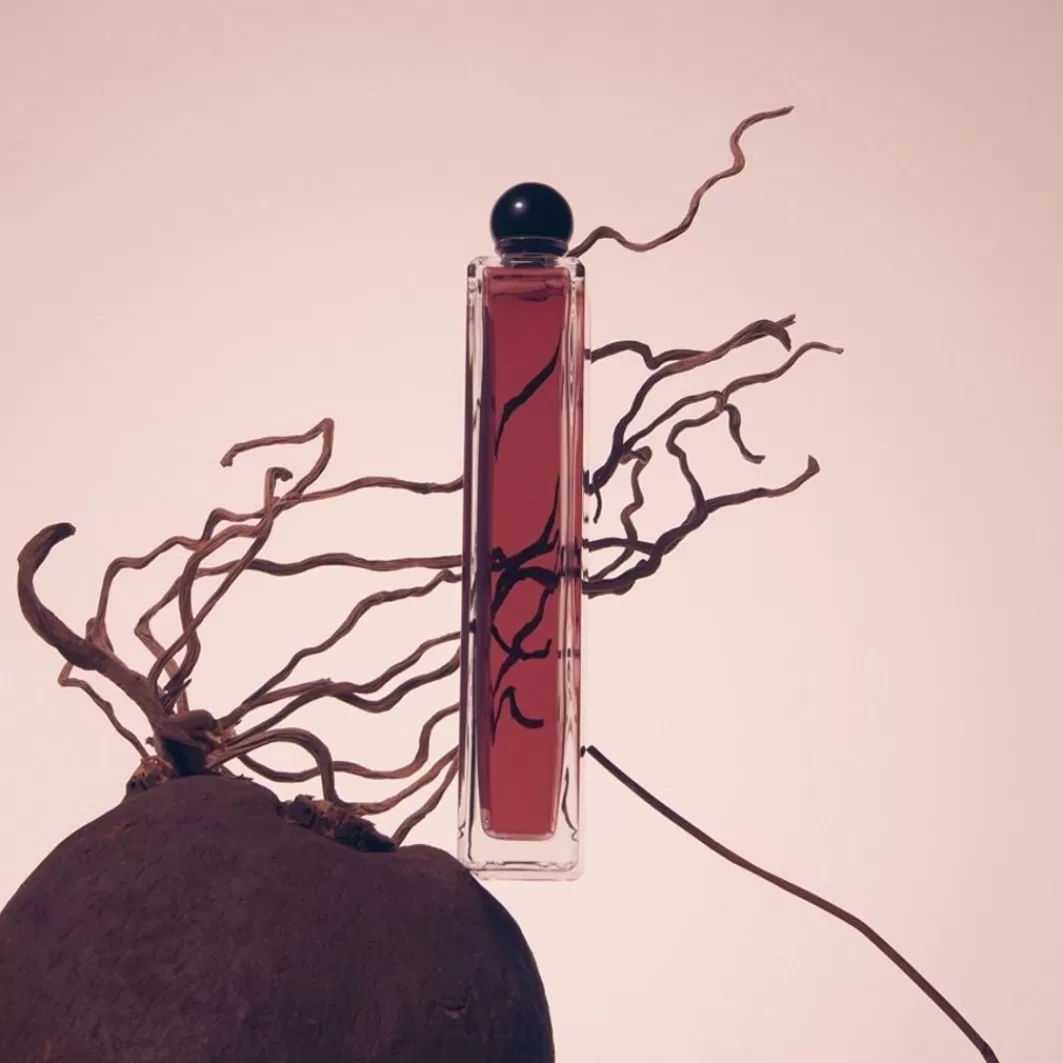 Collection Noire Feminite Du Bois Eau De Parfum Spray>Serge Lutens Best Sale